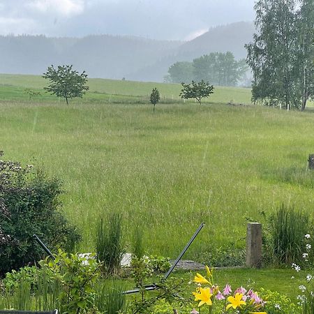 Chalupa U Broumovskych Sten Božanov Exteriör bild